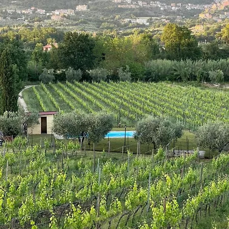 Casale Verdeluna Wine Piglio