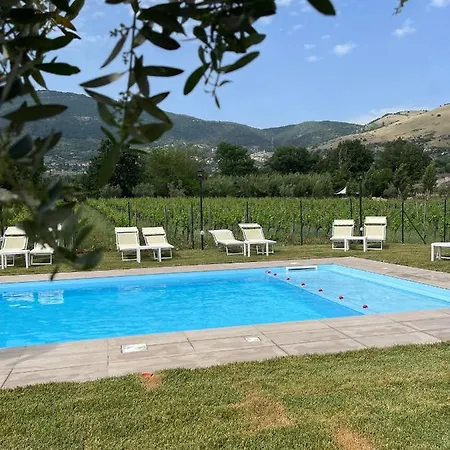 Casale Verdeluna Wine *
