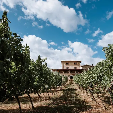 Casale Verdeluna Wine *