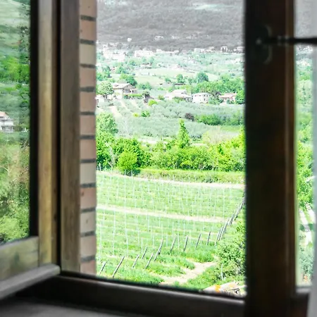 Casale Verdeluna Wine 팜스테이
