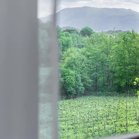 Casale Verdeluna Wine *