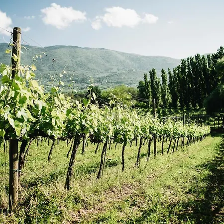 Casale Verdeluna Wine مزرعة للإقامة *