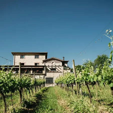 Casale Verdeluna Wine