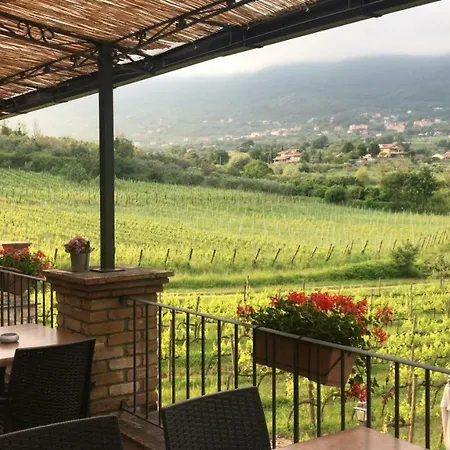 팜스테이 Casale Verdeluna Wine Piglio