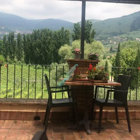 Casale Verdeluna Wine *